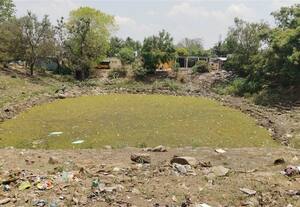 பராமரிப்பின்றி சீரழிந்து வரும் திண்டிவனம் மாரி செட்டிக்குளம்: நகராட்சி அதிகாரிகள் கவனிப்பார்களா?