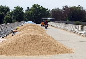  கூவம் ஆற்று மேம்பாலம் நெற்களமாக மாறியதால் அதிகத்துார் மக்கள் அச்சம்