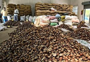  கொப்பரை ஏலம்: ரூ.137.89க்கு விற்பனை