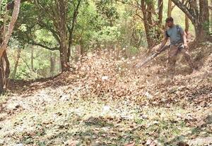  நாளை கண்ணகி கோயில் விழா: பளியன்குடி வனப்பாதையை பயன்படுத்த வேண்டுகோள் - தயார் நிலையில் சித்தா, பொது மருத்துவ குழு