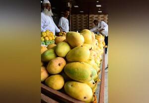  கோவை மார்க்கெட்டில் மணக்கிறது மாம்பழம்