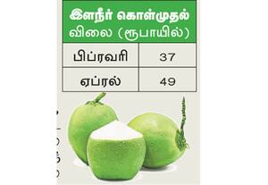  இளநீர் கொள்முதல் விலை 49 ரூபாயாக அதிகரிப்பு