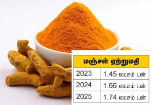  இந்திய மஞ்சளுக்கு அதிக வரவேற்பு 2025ல் 1.74 லட்சம் டன் ஏற்றுமதி