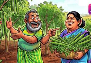 இயற்கை முறையில் முருங்கை சாகுபடி அதிக மகசூல் பெற அறிவுரை