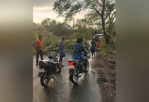  காற்றுடன் மழை: மரங்கள் முறிந்தன