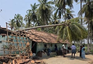  சிவகங்கையில் சூறைக்காற்று: 500 மரங்கள் சரிந்தன