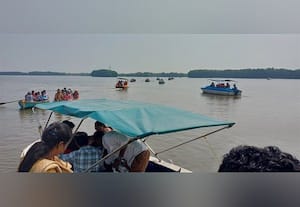  பிச்சாவரத்தில் குவியும் சுற்றுலா பயணிகள்