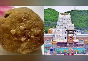  தர பரிசோதனை இல்லாமல் 70 லட்சம் கிலோ நெய் கொள்முதல்: விசாரணை அறிக்கையில் தனிநபர் கமிஷன் 'திடுக்' தகவல்