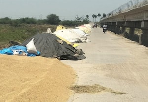  மனிதனை கெடுக்கும் மதுவிற்கு பாதுகாப்பு உணவாகும் நெல் சாலையில் வீணாகுகிறது விவசாயிகள் குற்றச்சாட்டு