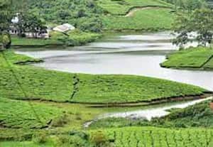 மேகமலை நீர்த்தேக்கங்களை துார்வார நடவடிக்கை ﻿ தேவை: மழை நீர்வீணாவதை தடுப்பது அவசியம்