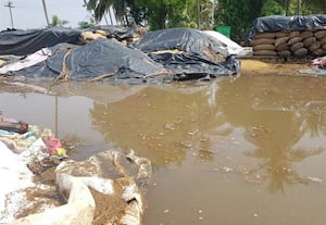  நெல் கொள்முதல் மையத்தைச் சூழ்ந்தது மழைநீர் விவசாயிகளை கரைக்குது கண்ணீர்