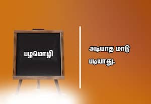  பழமொழி