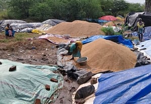 திடீர் கோடை மழை காரணமாக நெல் மூட்டைகள் நனைந்து... சேதம்: கூடுதல் பணியாளர்களை நியமிக்க விவசாயிகள் எதிர்பார்ப்பு
