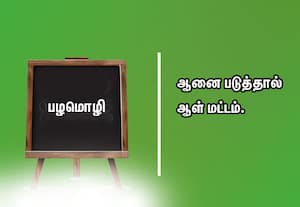  பழமொழி