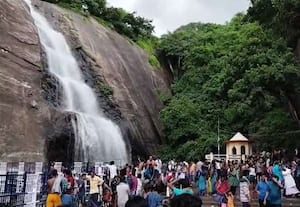 பழைய குற்றாலம் அருவியில் குளிக்க கட்டணம் 20 ரூபாய்; வனத்துறை அறிவிப்பு