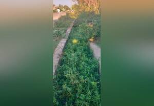 கழிவுநீர் கால்வாய் சீரமைக்க கருங்குழி மக்கள் கோரிக்கை