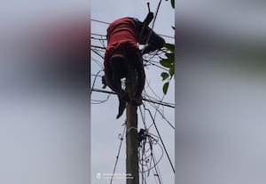 மின்சாரம் தாக்கி வாலிபர் பலி