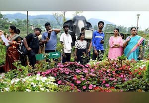  75 ஆயிரம் பேர் ரசித்த மூணாறு மலர் கண்காட்சி இன்று நிறைவு