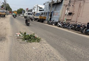சிவகாசி அண்ணா நகர்  ரோட்டில் பள்ளம்: மரக்கிளைகளை போட்டு வைத்த அவலம்