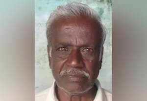  'கொடை'யில் பிளம்ஸ் சீசன் துவக்கம் சீதோஷ்ண மாற்றத்தால் விளைச்சல் பாதிப்பு