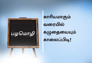  பழமொழி;