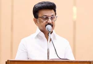 தோல்விக்கு நானே பொறுப்பு; திமுக மா.செ., கூட்டத்தில் ஸ்டாலின் பேச்சு