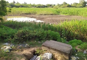  சட்டமங்கலம் ஏரிகளை துார்வார வலியுறுத்தல்