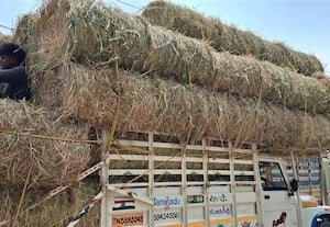 கேரளா செல்லும் வைக்கோல் தமிழகத்தில் தட்டுப்பாடு அபாயம்