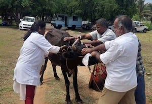 பணியில் சேர்ந்தது முதல் ஓய்வு வரை ஒரே பதவி தானா? கால்நடை பராமரிப்பு உதவியாளர்கள் வேதனை