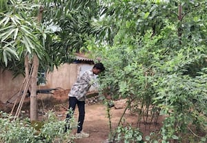  மாணவர்களின் கவனம் சிதறாமல் இருக்க வீடுகளில் காய்கறி தோட்டம் பாலிதீன் பயன்பாட்டை குறைக்க விழிப்புணர்வு