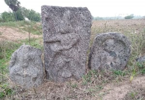 போர் வீரர்களின் நடுகற்கள் வி.சாத்தனுாரில் கண்டெடுப்பு