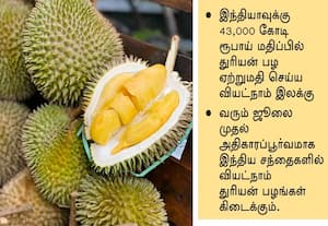  வியட்நாமில் இருந்து துரியன் பழம் இறக்குமதி விதியை தளர்த்தும் இந்தியா