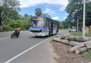  நெடுஞ்சாலை ஓரம் மரத்தடிகள் --வளைவில் விபத்து அபாயம்