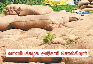 தரையில் கிடந்த முளைவிட்ட நெல்லை மூட்டை மேல் வைத்து எடுத்த புகைப்படமாம்!