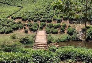  இணைப்பு பாலம் சீரமைக்க தயக்கம் : தொழிலாளர்கள் தவிப்பு
