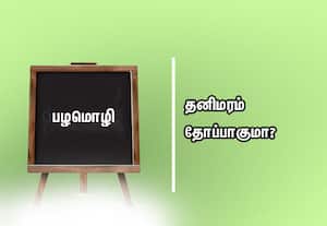  பழமொழி