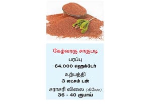  கிலோ ரூ.40ஐ தாண்டாத கேழ்வரகு பயன்பாடு அதிகரிக்காதது காரணம்