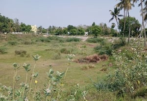 ரூ.1.22 கோடியில் முக்குளம் பூங்கா அமைக்கும் பணி... கிடப்பில்  : அலட்சியத்தால் அரசு நிதி பாழாகும் அவலம்