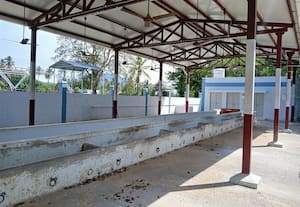  திட்டமிடாமல் கோசாலை கட்டியதால் பட்டீஸ்வரர் கோவில் மாடுகள் பரிதாபம்