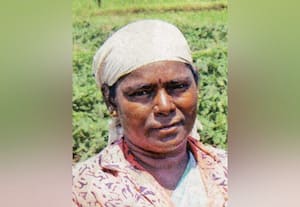  சுகாதாரமும் வருமானமும் தரும் வெண்டை சாகுபடி