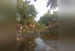  சாலையில் முறிந்து விழுந்த மரக்கிளை காஞ்சியில் போக்குவரத்து பாதிப்பு