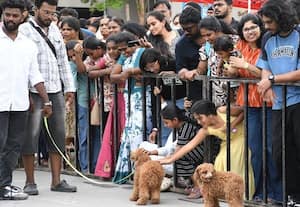  செல்லப்பிராணிகள் திருவிழா நேற்று துவக்கம்; இன்றும் உண்டு