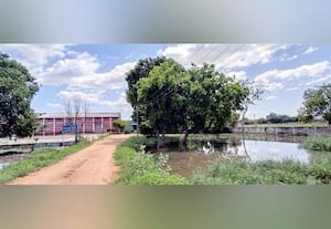  காலி இடங்களில் தேங்கும் மழைநீர்