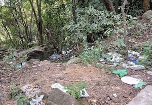 ரோட்டோர வனப்பகுதிகளில் பிளாஸ்டிக் குப்பை ﻿ கட்டுப்படுத்தலாமே:  அறியாது உண்ணும் விலங்கினங்களுக்கு பாதிப்பு