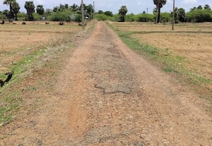  கற்களாக மாறிய காட்டுபுலி ரோடு
