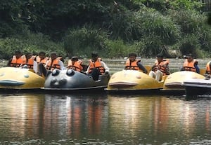  கோடை விழாவில் படகு போட்டி