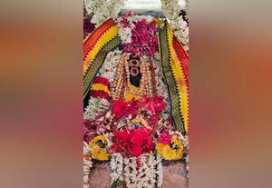 பாகூர் மூலநாதர் கோவிலில் குரு பெயர்ச்சி விழா
