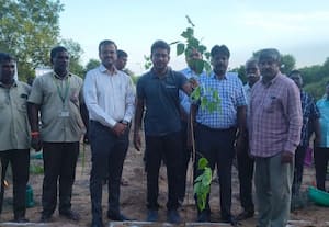  கார்பன் சமநிலை தேர்தல் - 2026 திட்டத்தில் மணப்பட்டில் 1,099 மரக்கன்றுகள் நடும் பணி