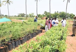  வளர்ச்சி திட்ட பணிகளை விரைவாக முடிக்க கலெக்டர் உத்தரவு