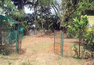  பீனிக்ஸ் நாற்றங்கால் பண்ணைக்கு புத்துயிர் தினமலர் செய்தி எதிரொலியாக நடவடிக்கை